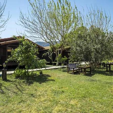 şehri