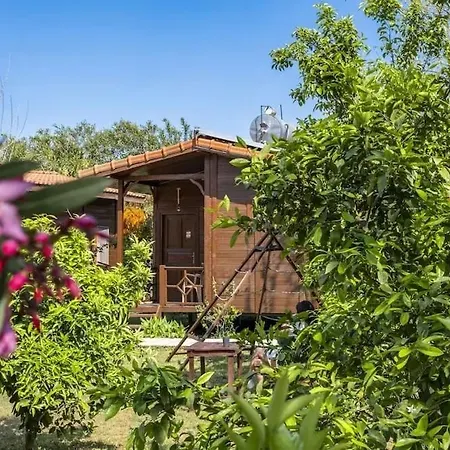 Bed & Breakfast Sehri Kemer
